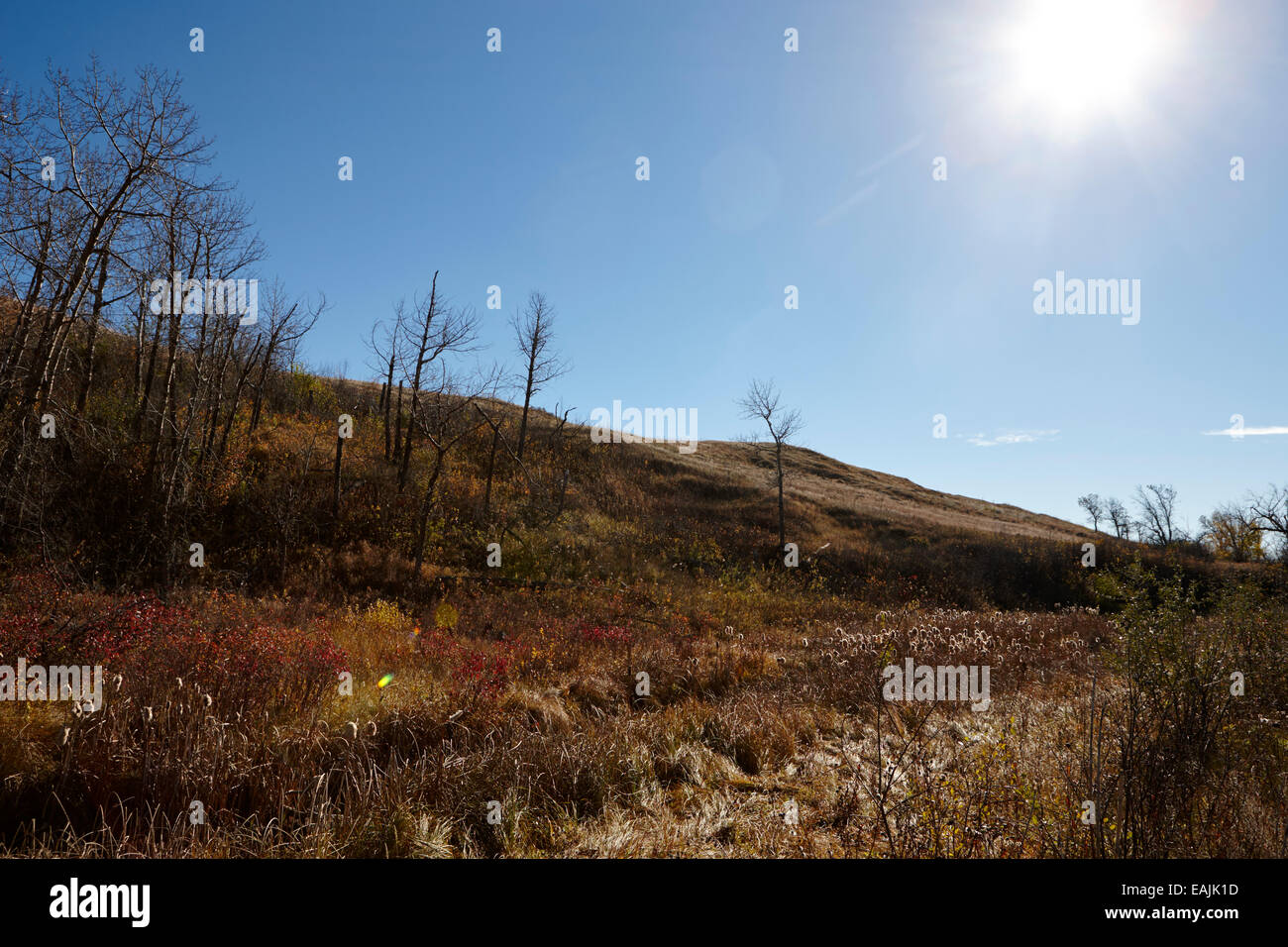 Dans la vallée du ruisseau Wanuskewin Heritage Park, Saskatoon Saskatchewan Canada Banque D'Images