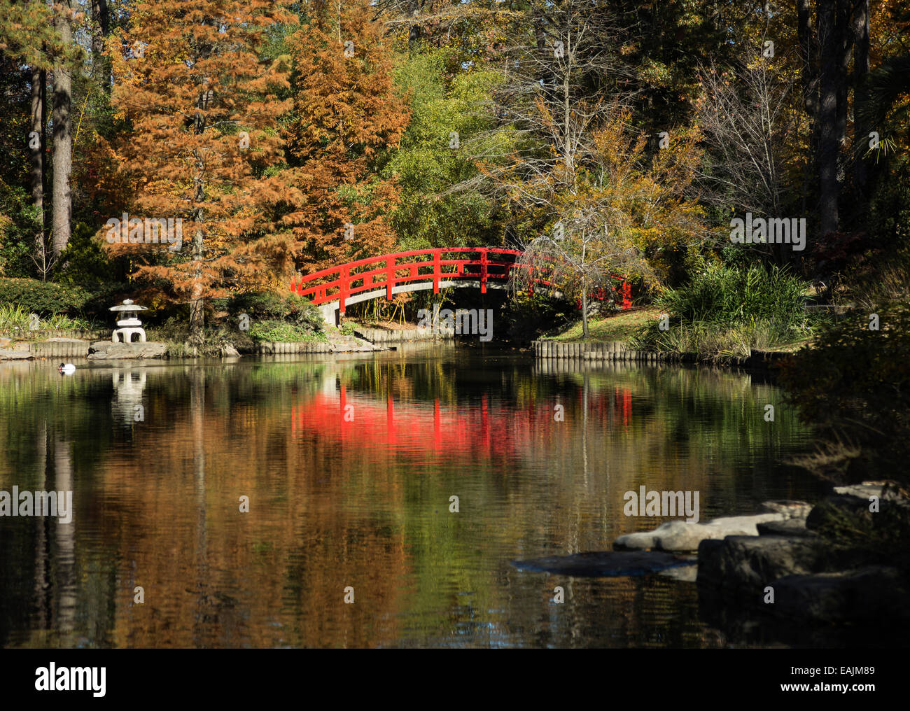 Jardin japonais avec étang Banque D'Images