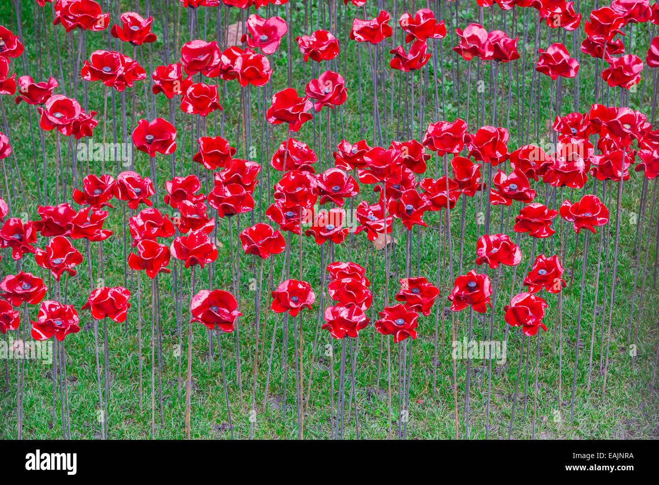 Les terres et les mers de sang ont balayé de rouge Banque D'Images