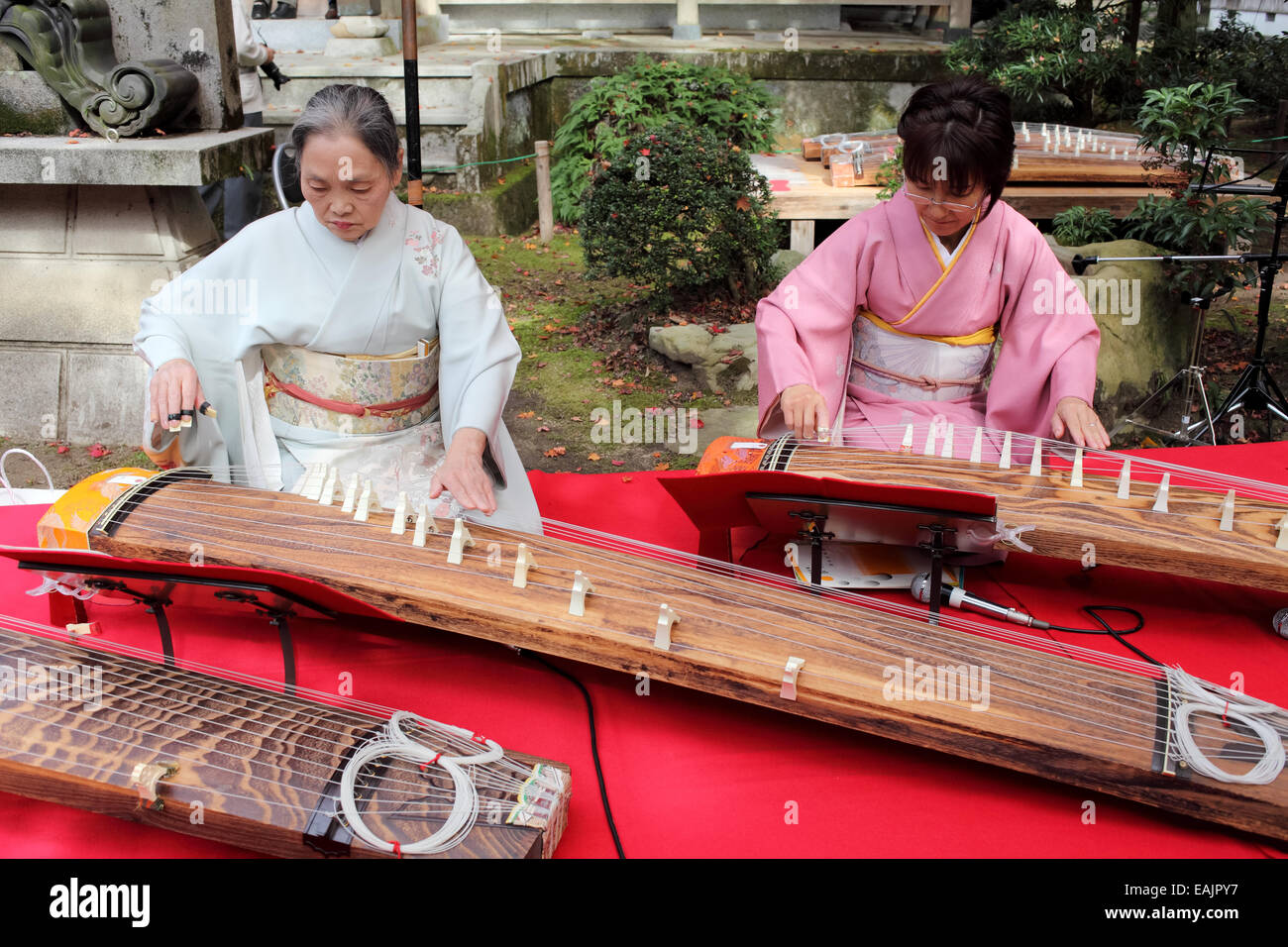 La femme japonaise en kimono jouant koto (instrument traditionnel japonais) dans le jardin japonais Banque D'Images