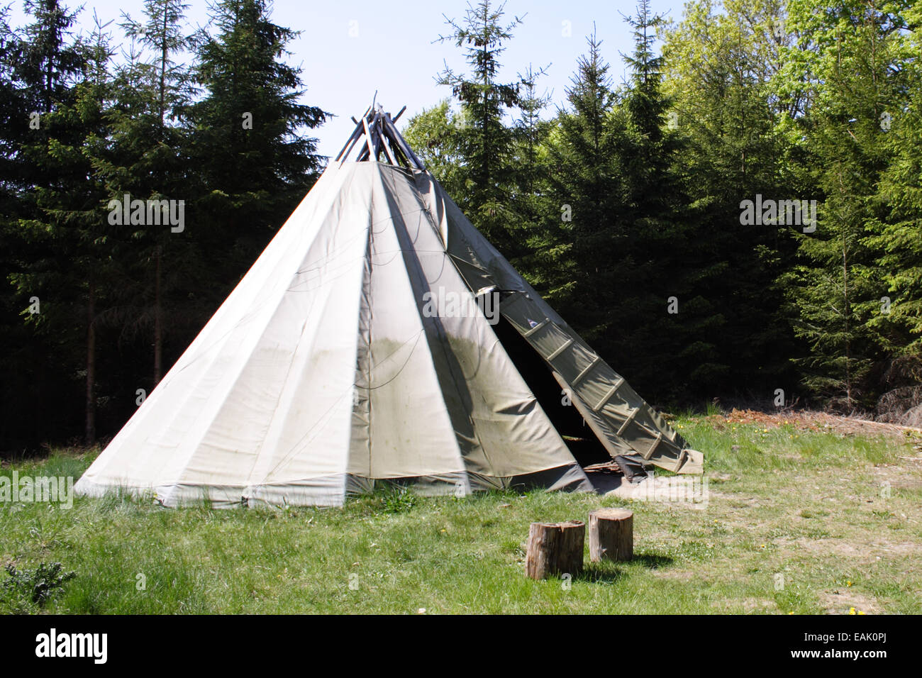 Copie d'une tente sami utilisé pour le camping dans une forêt près de Silkeborg Banque D'Images Copie d'une tente sami utilisé pour le camping dans une forêt près de Silkeborg Banque D'Images