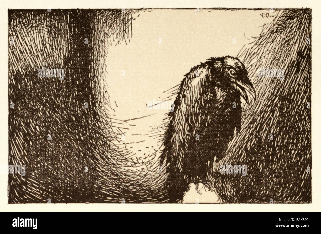 Le corbeau. À partir de 'Le Corbeau' d'Edgar Allan Poe (1809-1849) illustration par Edmund Dulac (1882-1953). Voir la description pour plus d'informations. Banque D'Images