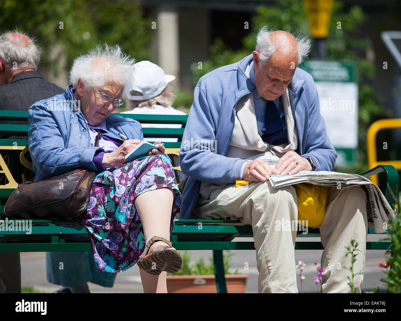 Un couple européen blanc 70 ans plus assis sur un banc de parc au cours de l'été au Royaume-Uni Banque D'Images