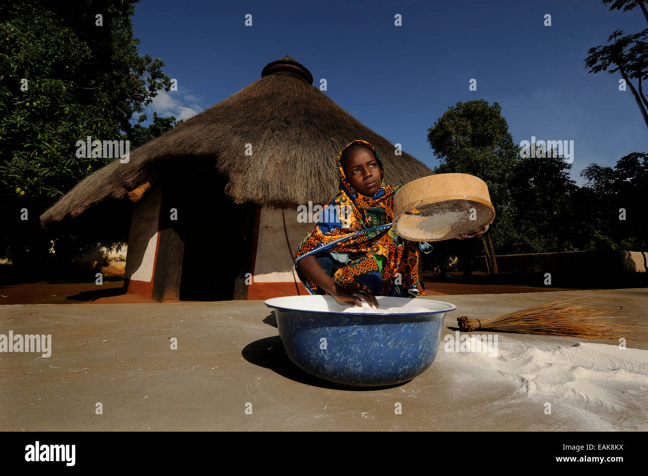 Jeune fille le tamisage de la farine dans le village de Idool Idool, Région de l'Adamaoua, Cameroun, Banque D'Images