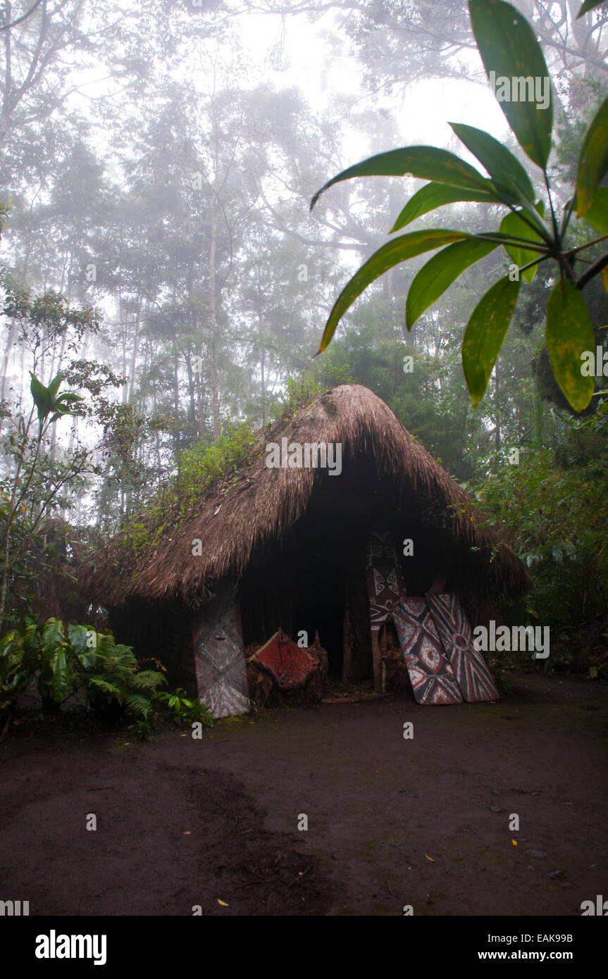 Cabane dans un village tribal, Highlands, Papouasie Nouvelle Guinée Banque D'Images