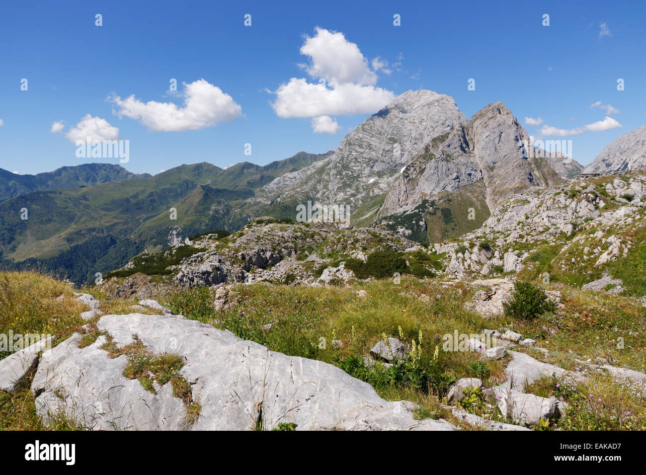 Plateau sommital de Kleiner Pal montagne, vue sur la montagne, en direction de Cellon Alpes Carniques, Kötschach-Mauthen, Bezirk Hermagor, Kärnten Banque D'Images