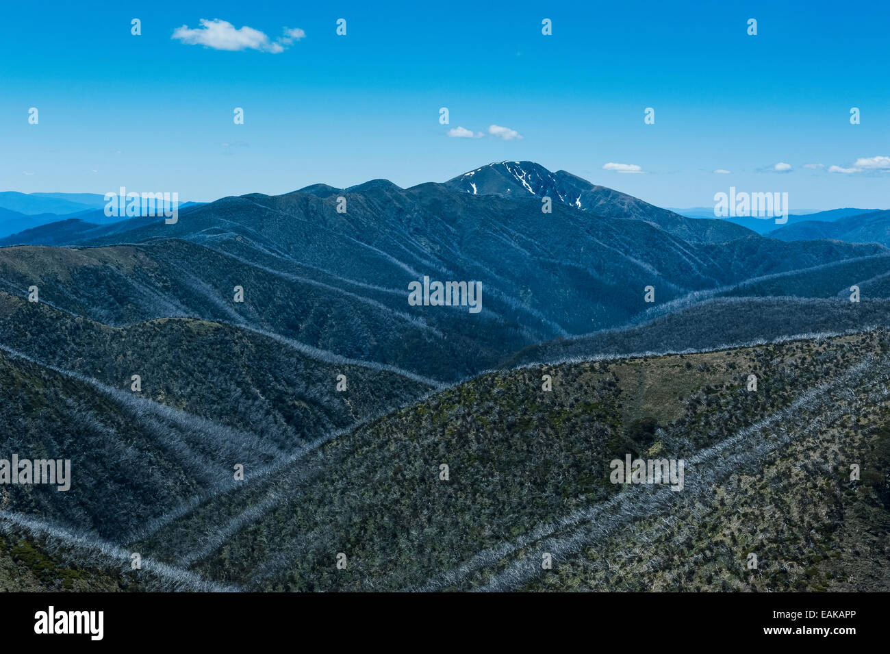 Donnant sur le massif des Alpes victoriennes, Victoria, Australie Banque D'Images