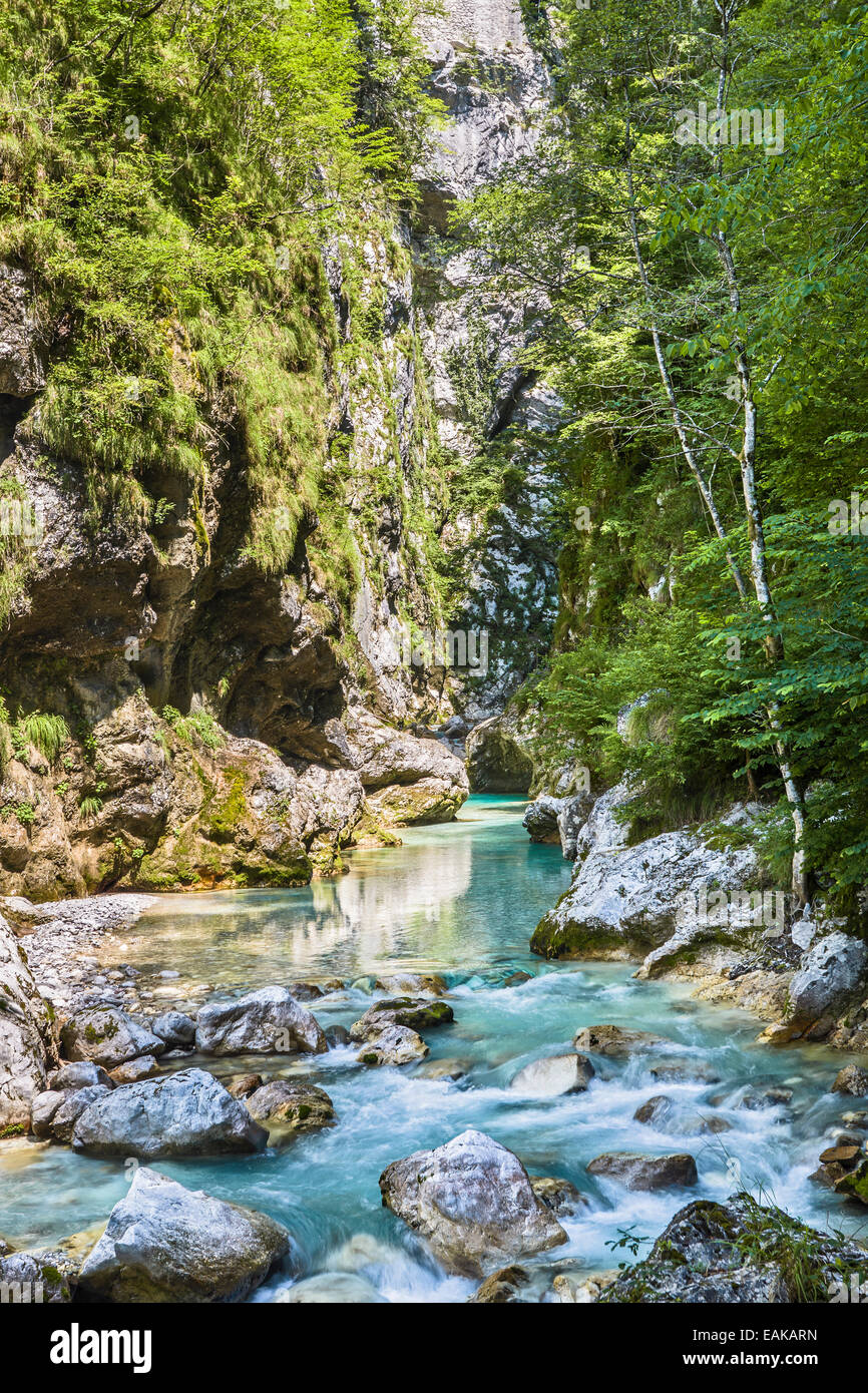 Tolmin Gorge, Route d'Émeraude, Nationalpark Triglav, région Primorska, Slowenien, Tolmin, Goriska, Slovénie Banque D'Images