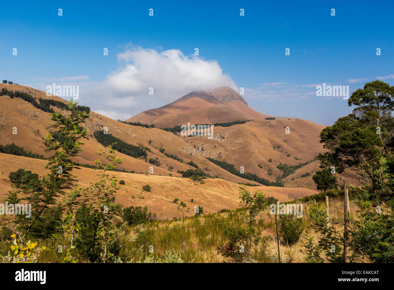 JOSEFSDAL, Mpumalanga, Afrique du Sud, l'Afrique - paysage de montagne, au sud-est de Barberton, sur l'autoroute R40. Banque D'Images