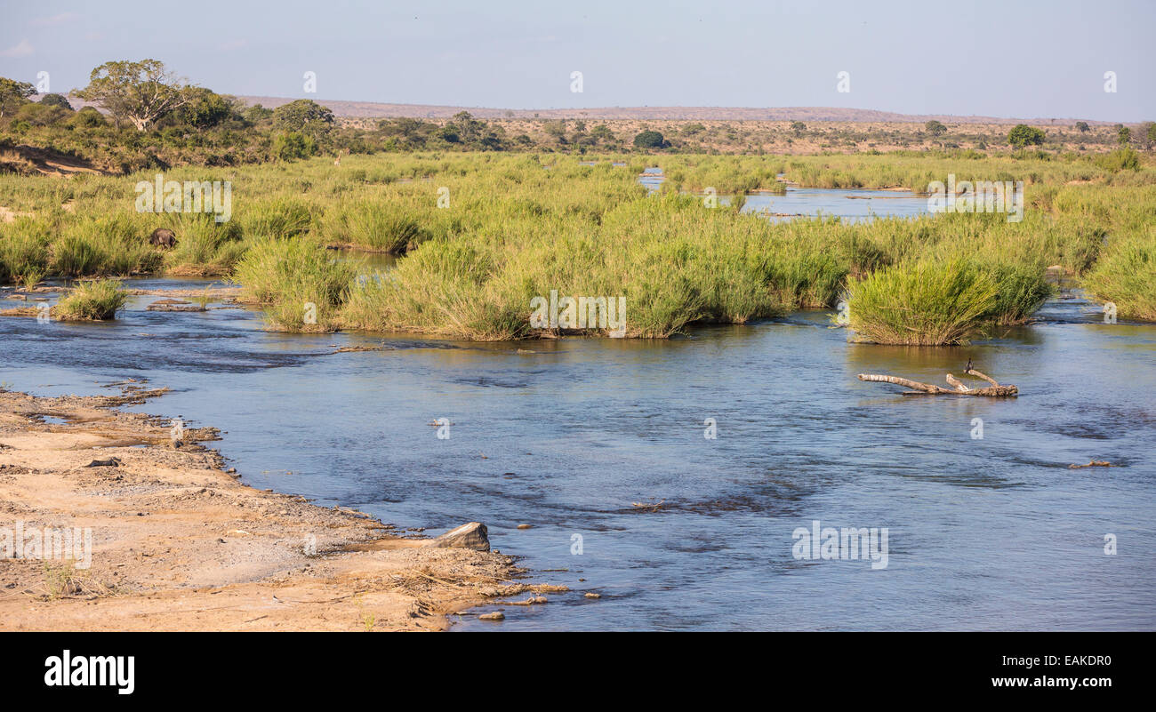 Le parc national Kruger, AFRIQUE DU SUD - rivière Banque D'Images
