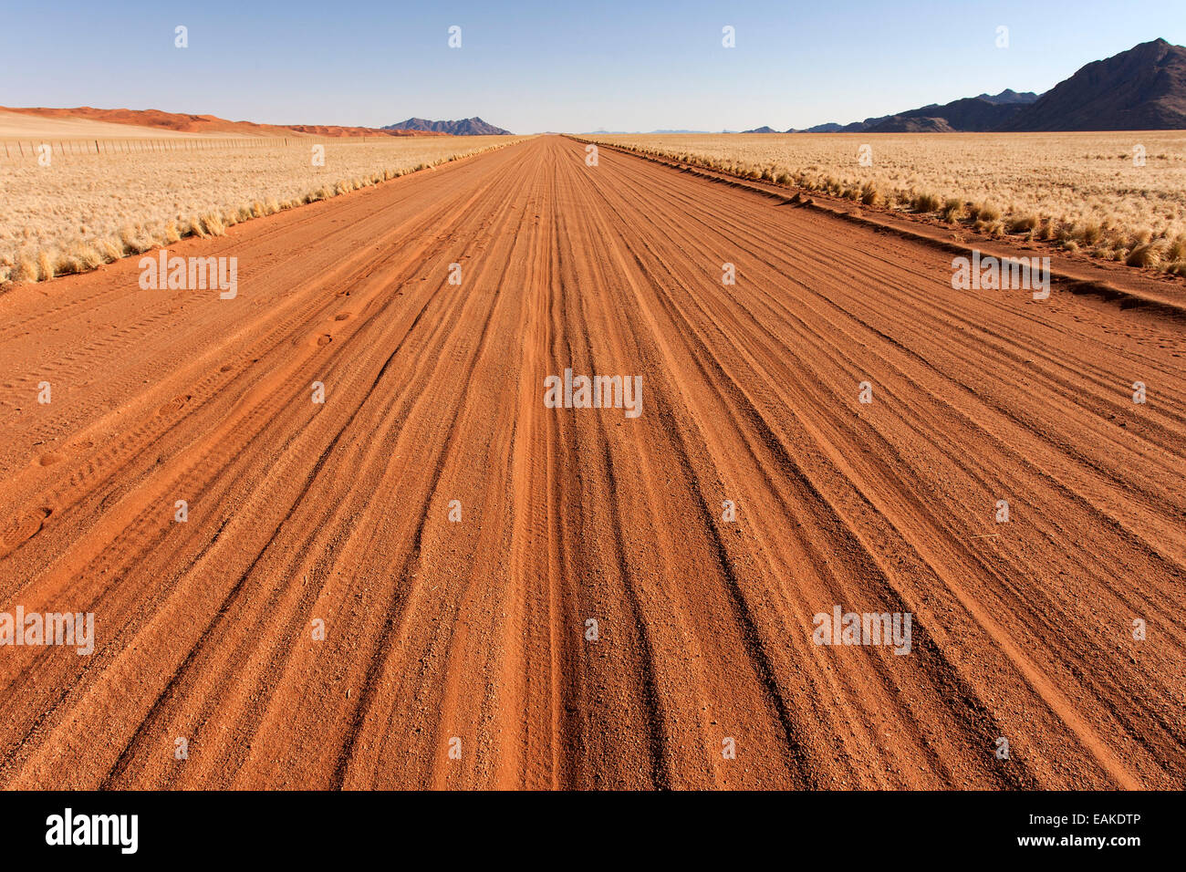 La D707, route le long de la poussière du désert du Namib, Namibie Banque D'Images