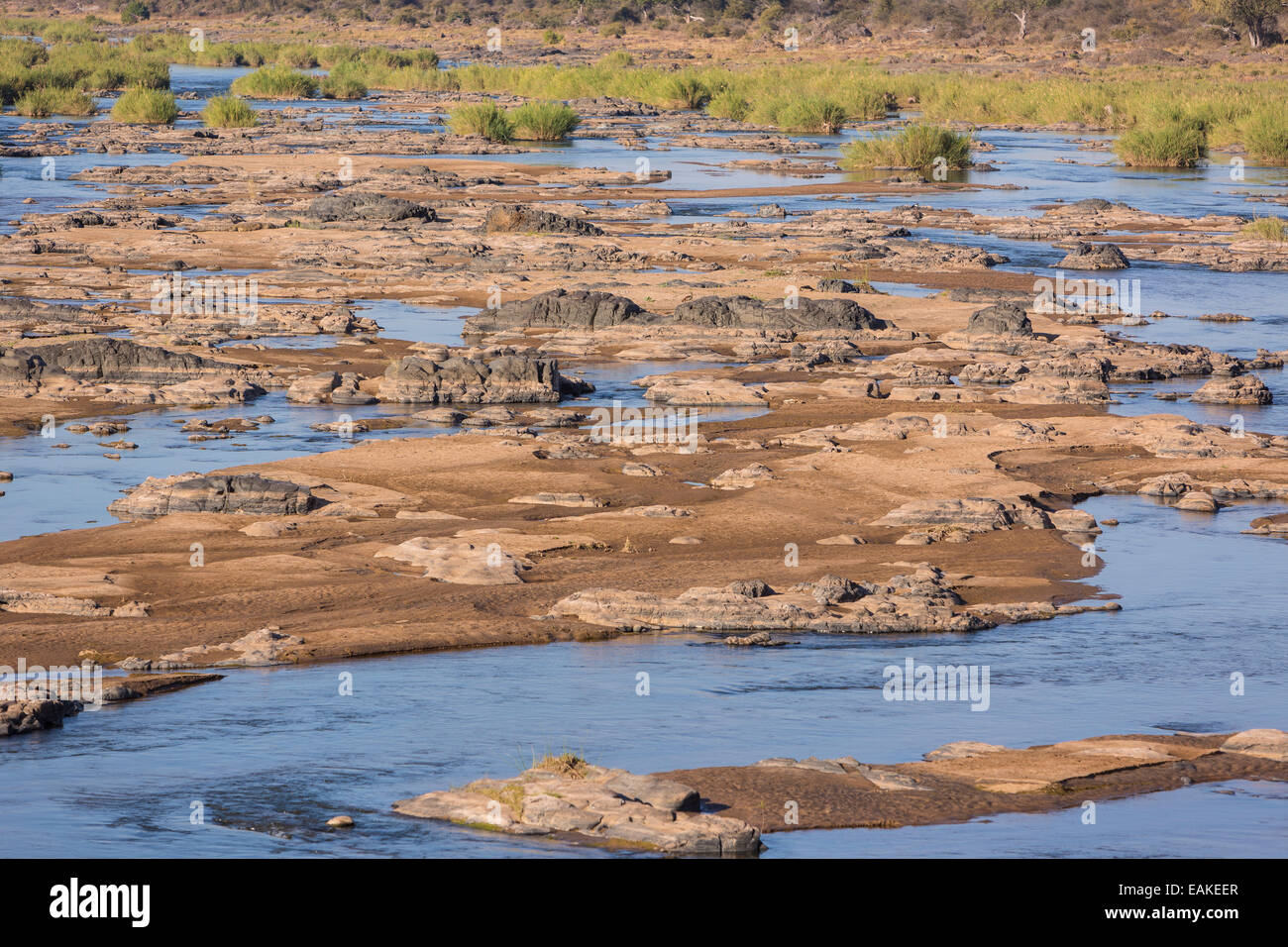 Le parc national Kruger, AFRIQUE DU SUD - Olifants River. Banque D'Images