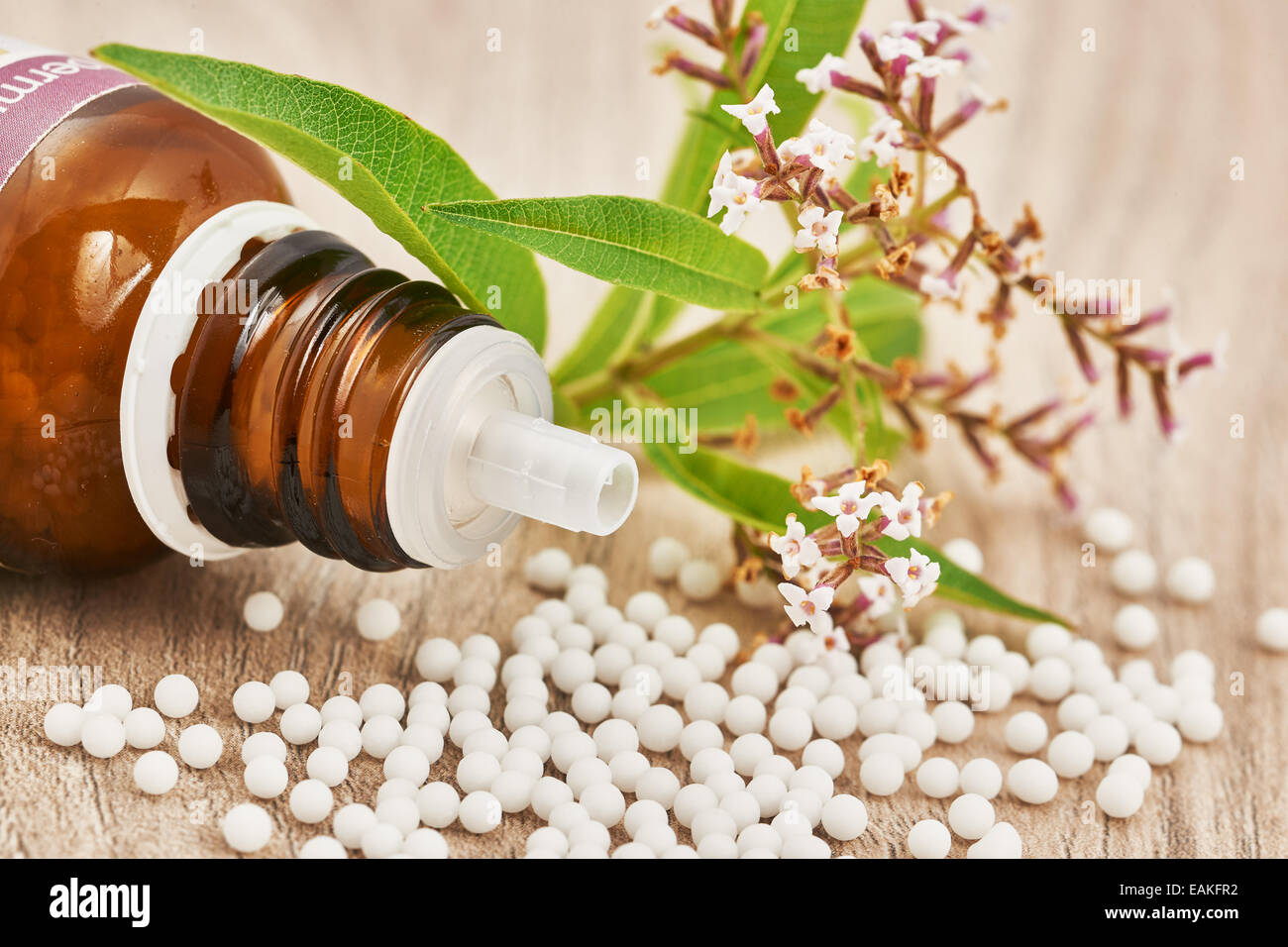 Les granules homéopathiques dispersés dans une bouteille en verre et une plante médicinale sur une table en bois Banque D'Images