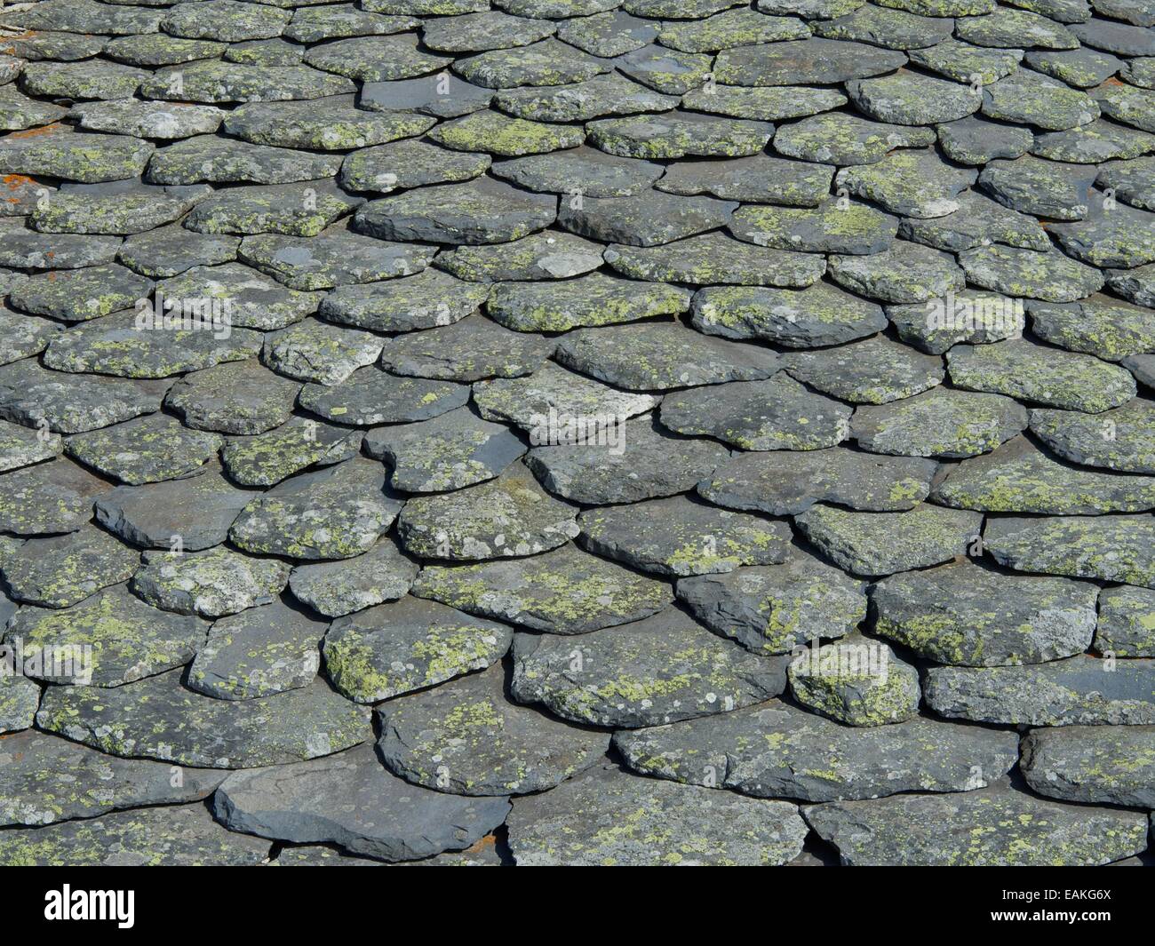 Un toit en tuiles de pierre. Le Cantal. L'Auvergne. France Banque D'Images