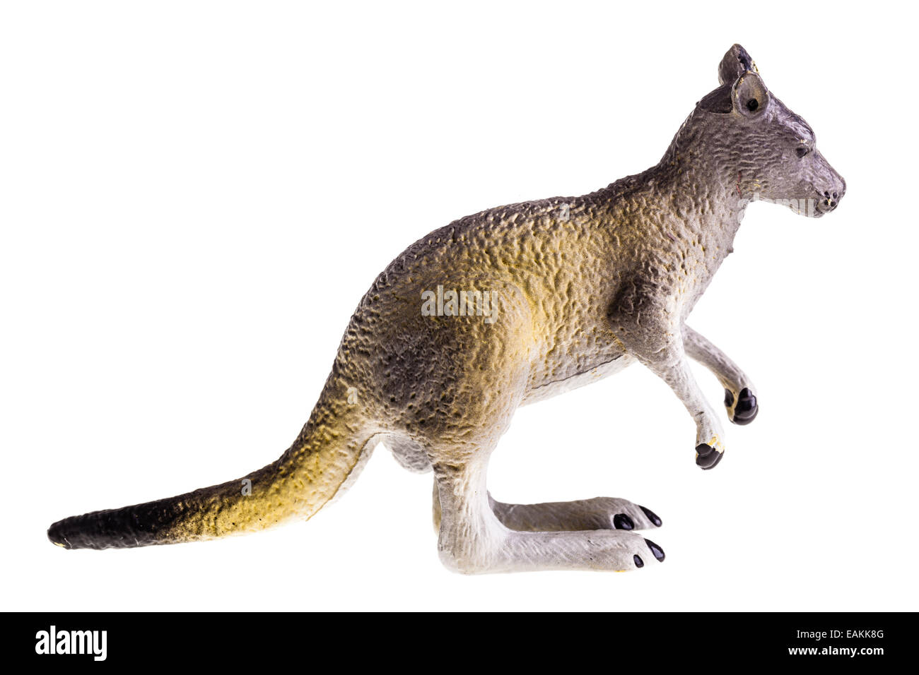 Un jouet en plastique isolé sur un kangourou pure white background Banque D'Images