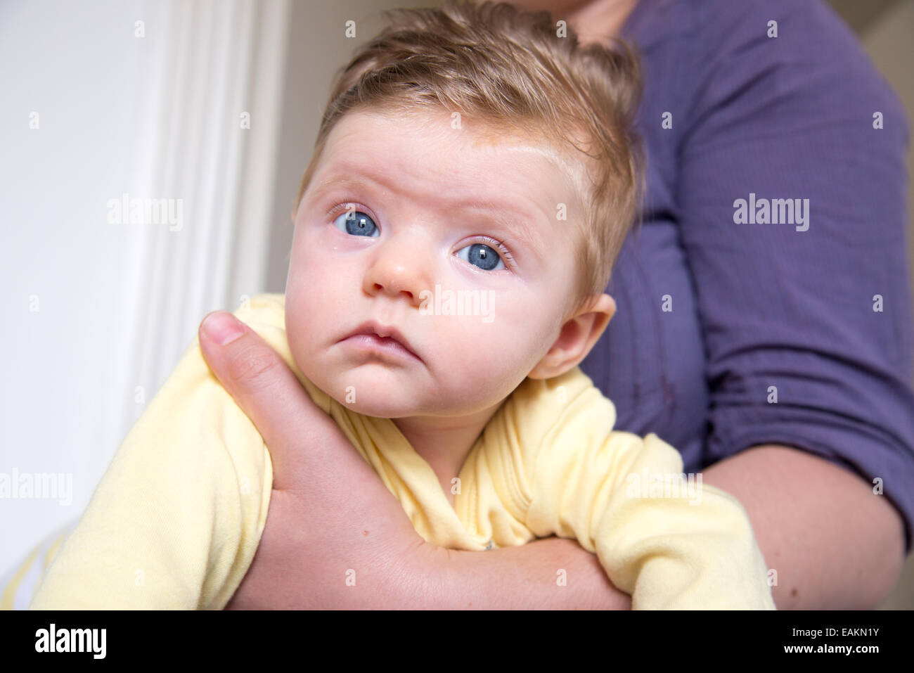 Petite fille de 12 semaines avec des yeux bleus et beaucoup de cheveux blonds Banque D'Images