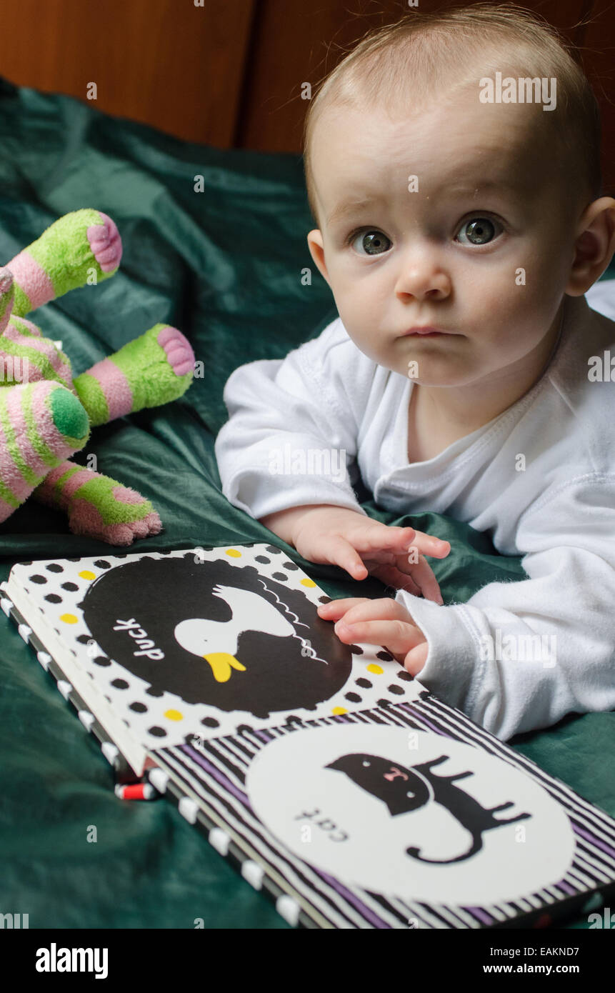 Une petite fille (ca. 7 mois) lit un livre des bébés. Banque D'Images