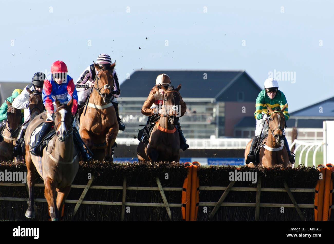 Course de chevaux à Musselburgh Racecourse près d'Édimbourg, Écosse. Banque D'Images