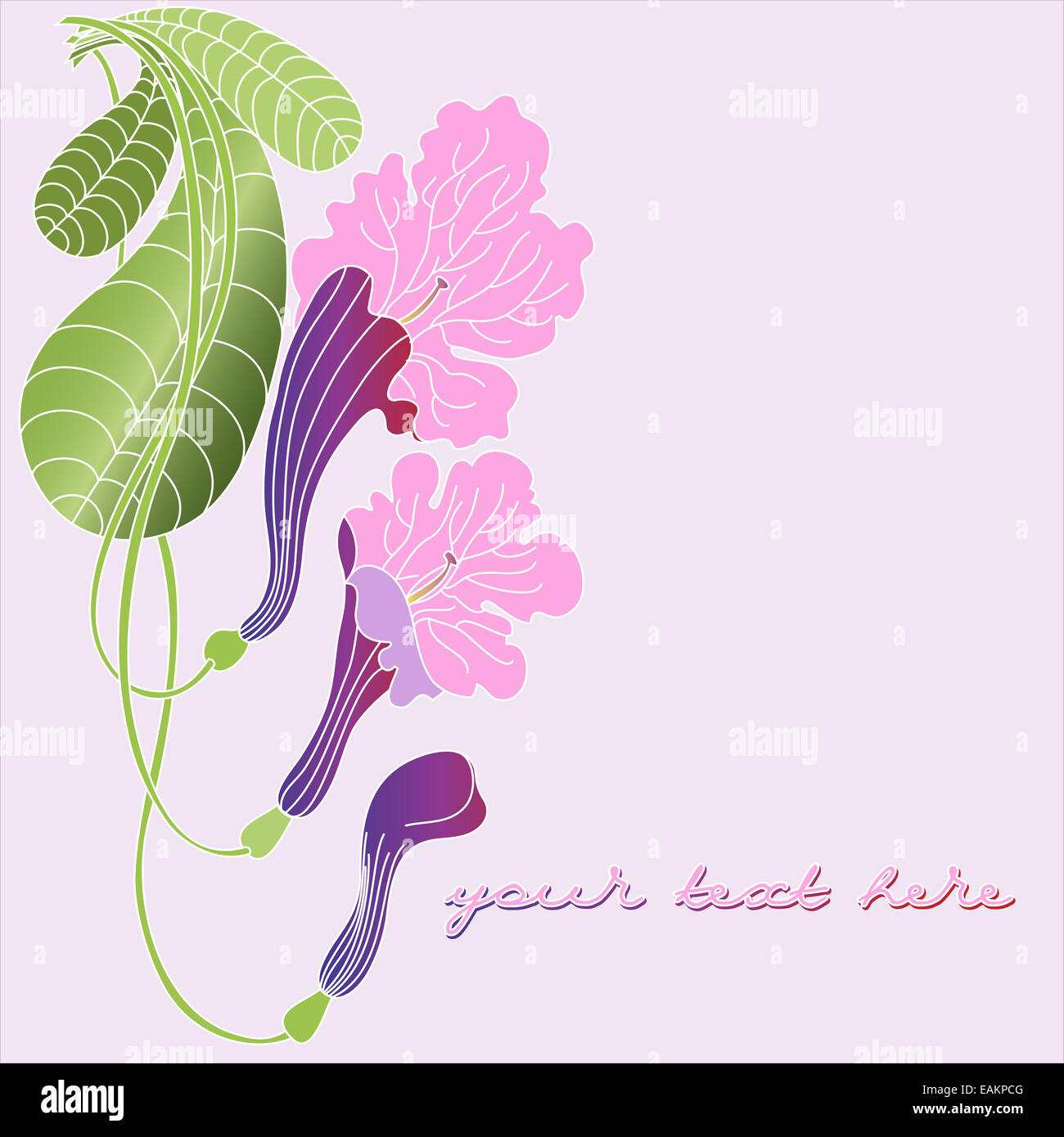 Notice avec fleurs exotiques Banque D'Images