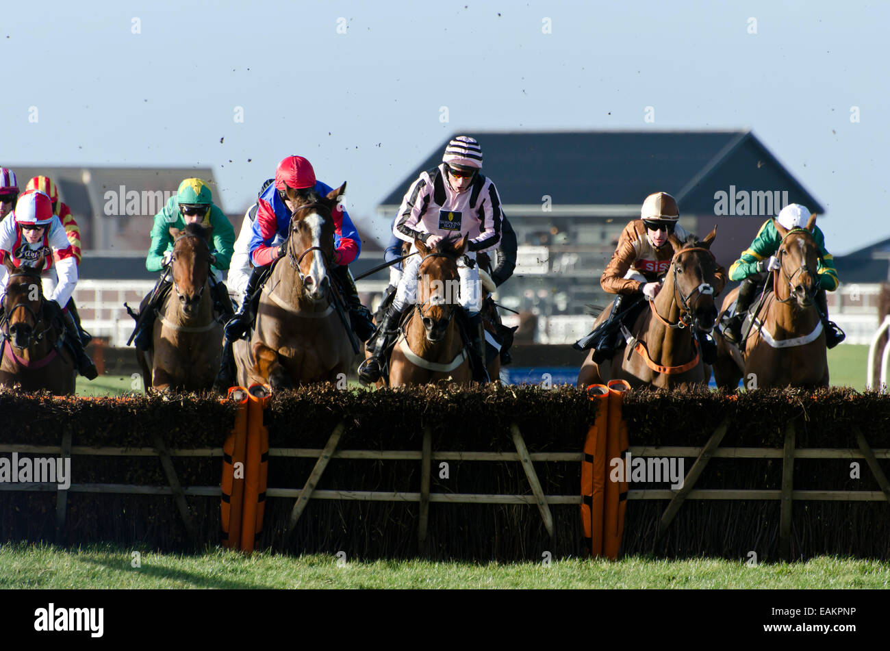 Course de chevaux à Musselburgh Racecourse près d'Édimbourg, Écosse. Banque D'Images