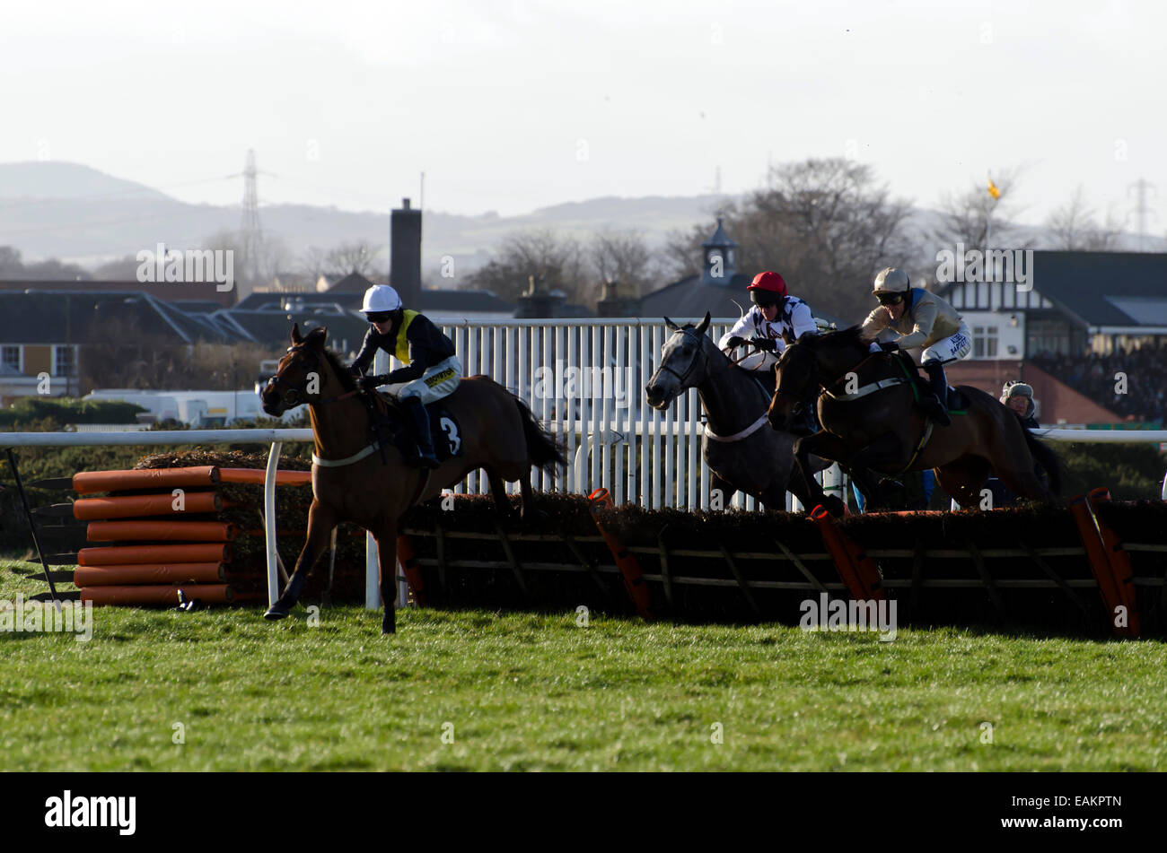 Course de chevaux à Musselburgh Racecourse près d'Édimbourg, Écosse. Banque D'Images