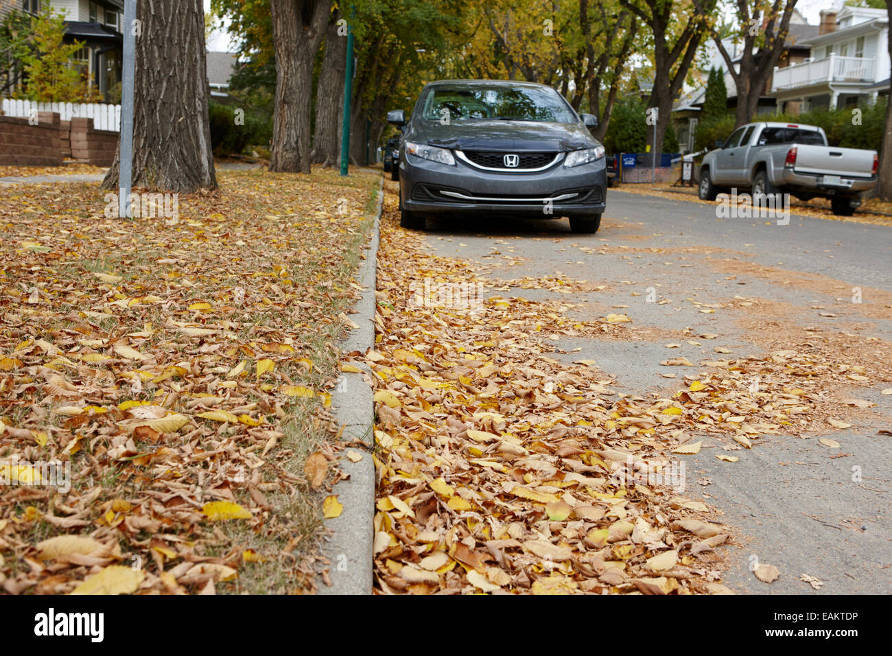 Les feuilles tombées dans le parc du patrimoine de la ville résidentielle quartier Saskatoon Saskatchewan Canada Banque D'Images