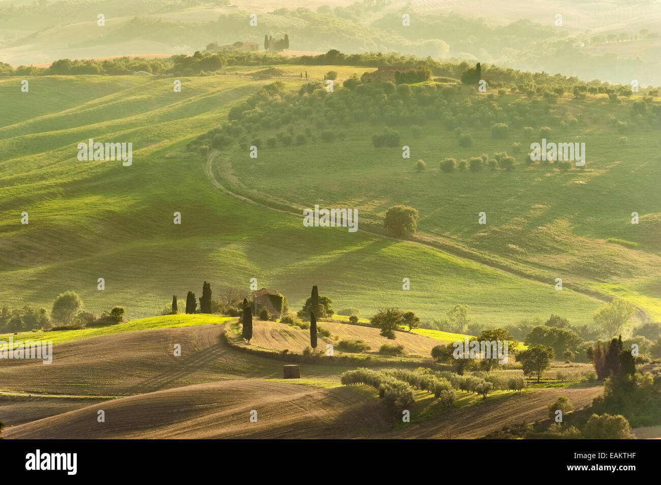 Vue sur la campagne dans le paysage de la Toscane, Italie Banque D'Images