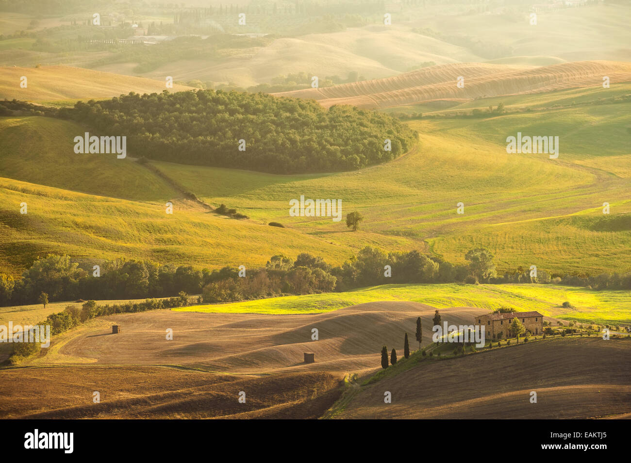 Vue sur la campagne dans le paysage de la Toscane, Italie Banque D'Images