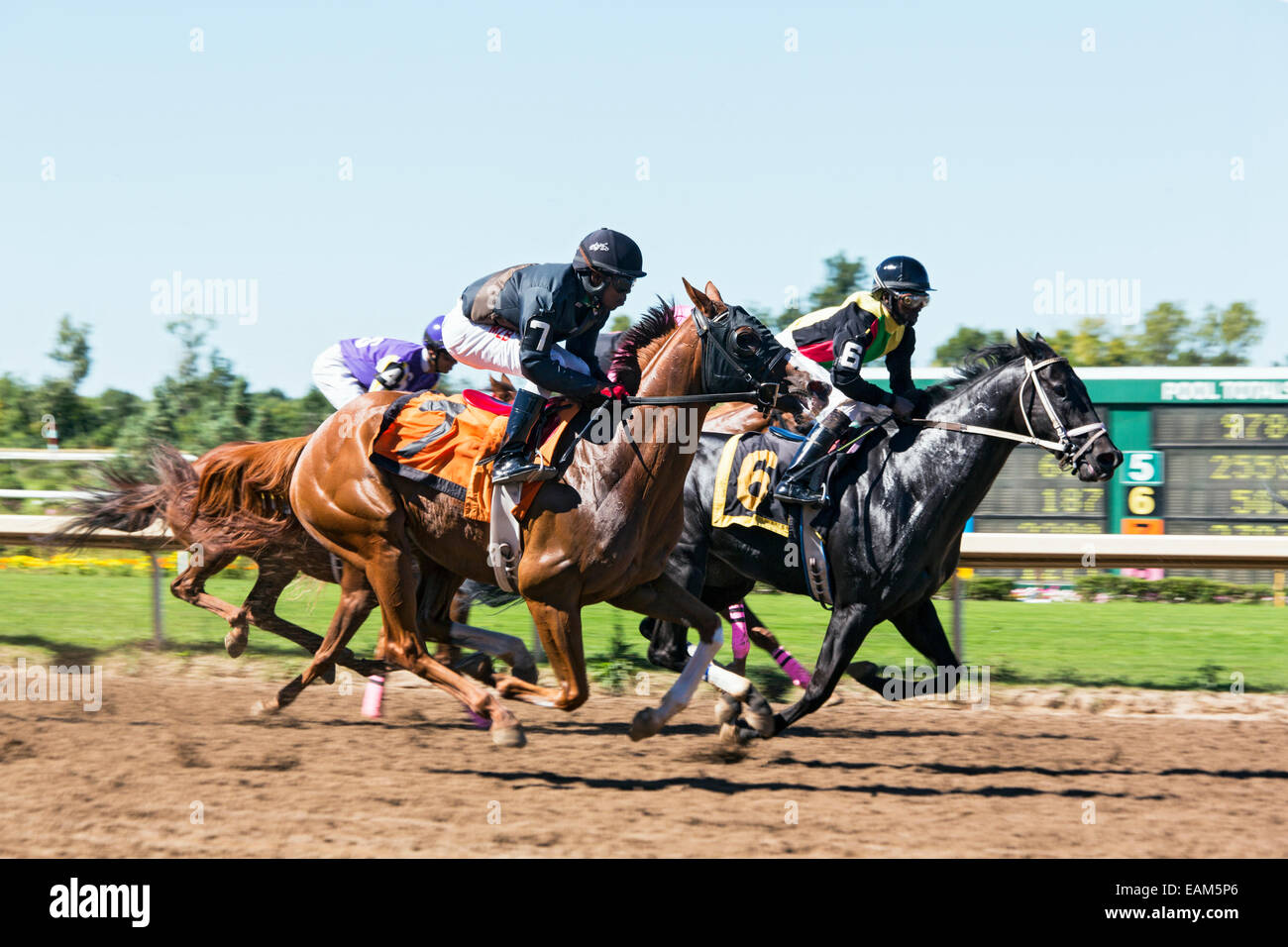 Canada,Ontario,Fort Erie, Fort Erie Race Track, course de chevaux Banque D'Images