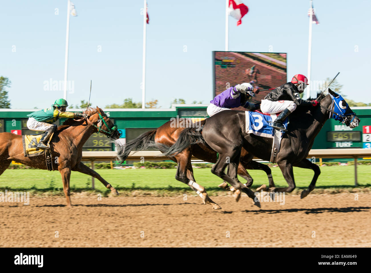 Canada,Ontario,Fort Erie, Fort Erie Race Track, course de chevaux Banque D'Images