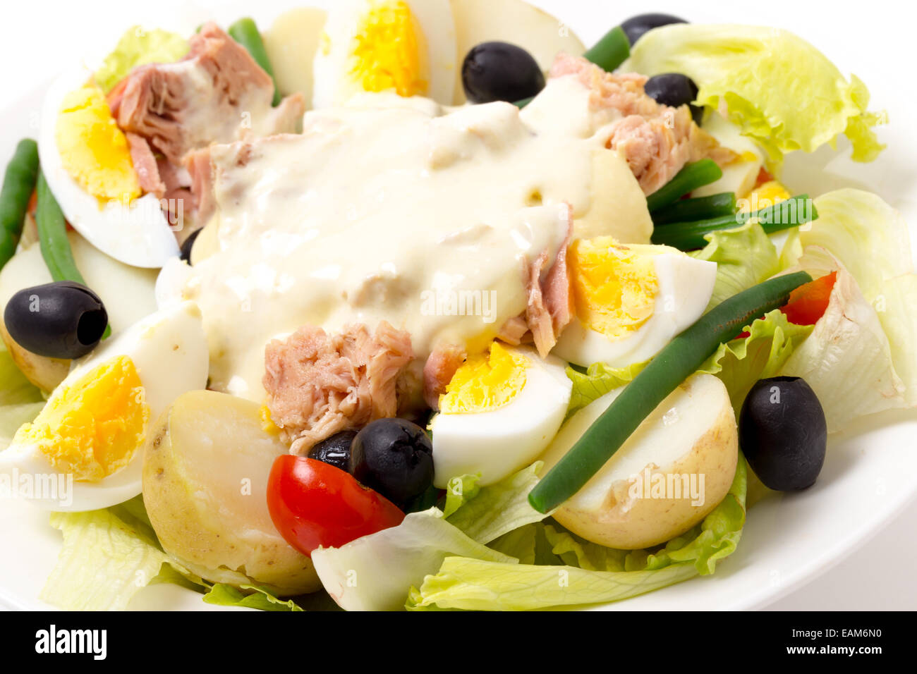 Salade niçoise traditionnelle fraîchement préparés avec du thon, oeuf dur, de pommes de terre, mayo, les haricots, les olives et la laitue vu de près. Banque D'Images