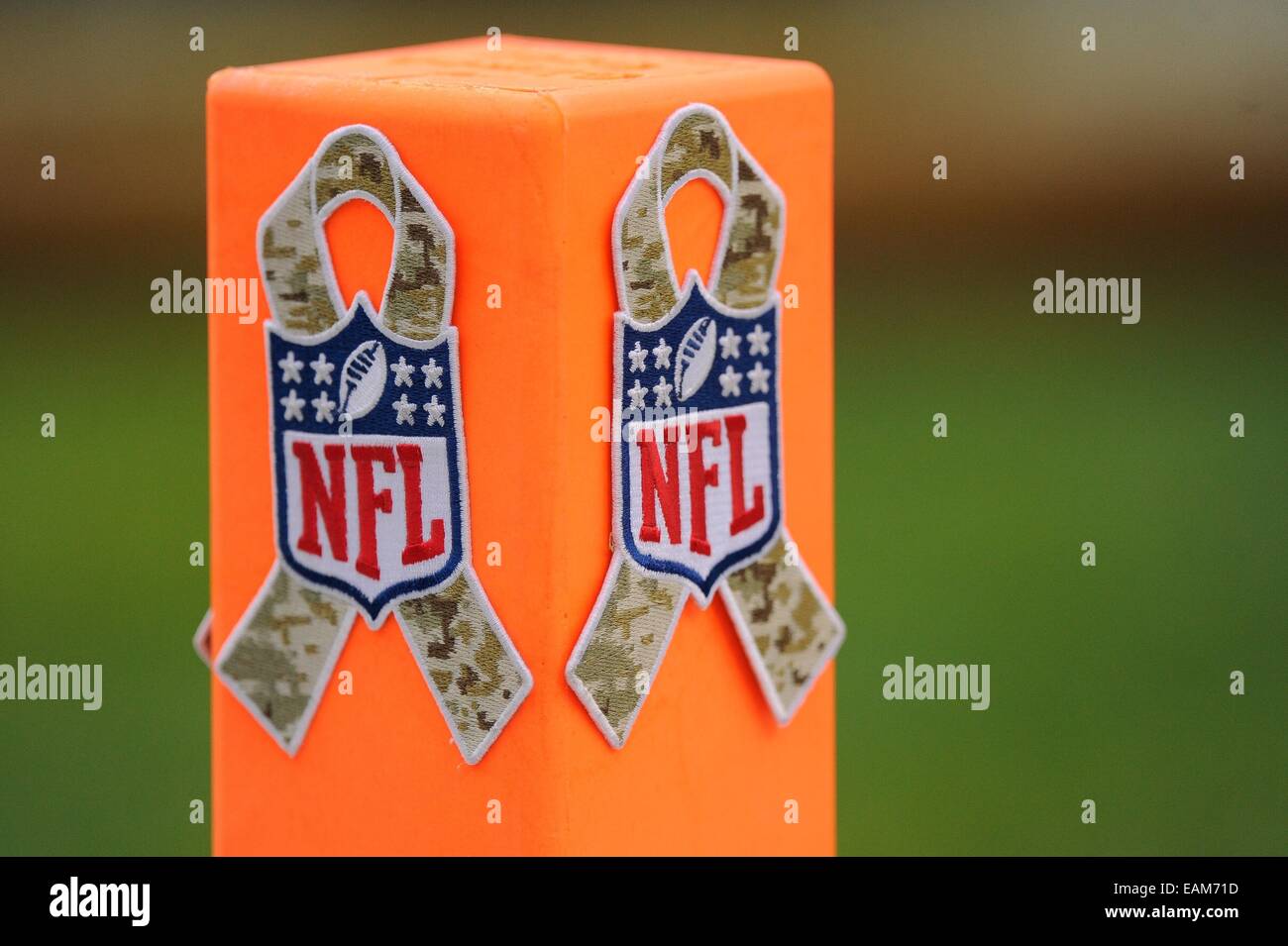 NOV 16, 2014 : Le salut militaire au service logos sont apposés sur la zone des repères pendant le match entre les Tampa Bay Buccaneers et les Redskins de Washington à FedEx Field à Landover, MD. Banque D'Images NOV 16, 2014 : Le salut militaire au service logos sont apposés sur la zone des repères pendant le match entre les Tampa Bay Buccaneers et les Redskins de Washington à FedEx Field à Landover, MD. Banque D'Images