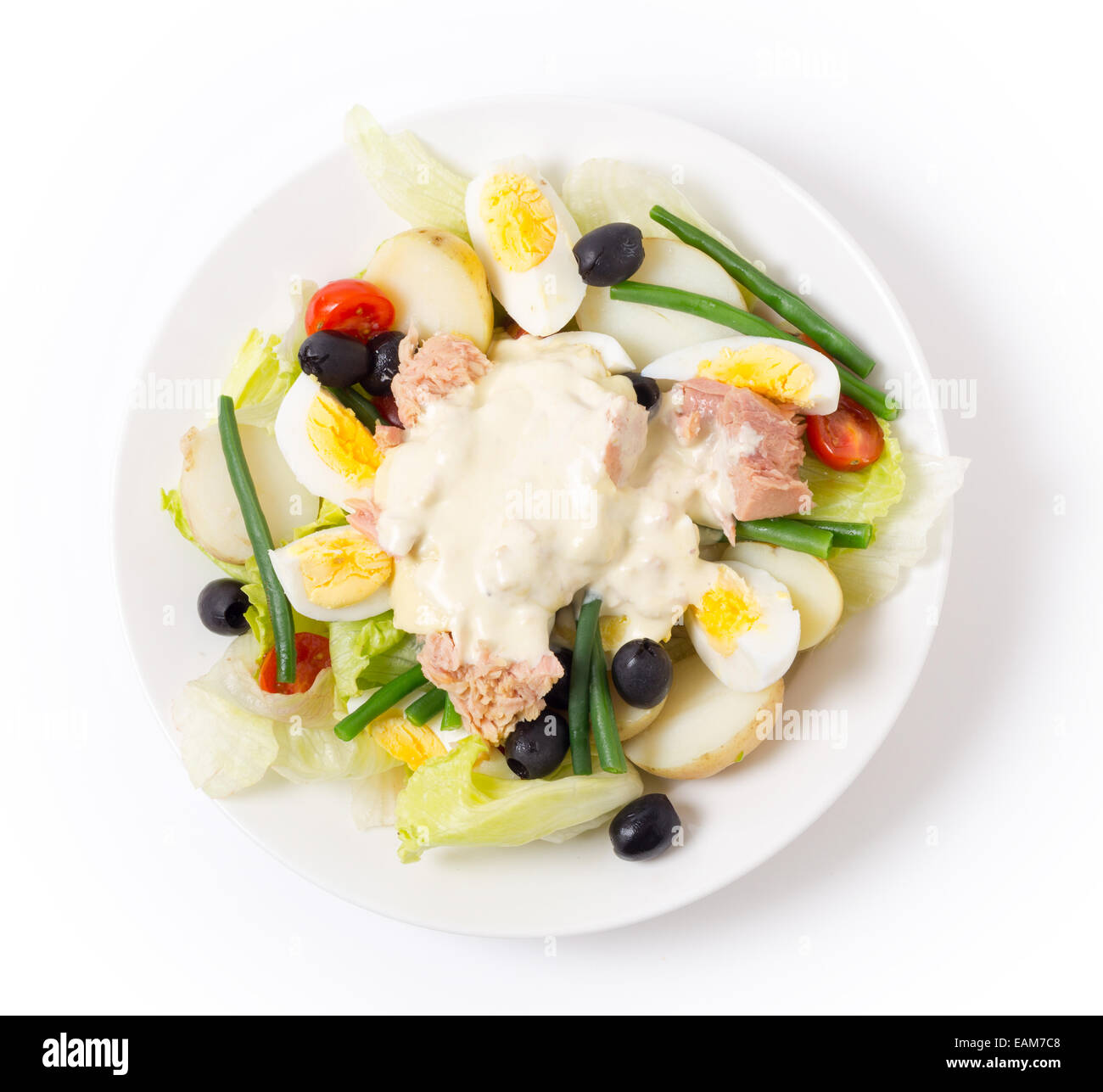 Salade niçoise traditionnelle fraîchement préparés avec du thon, oeuf dur, de pommes de terre, mayo, les haricots, les olives et la laitue. Banque D'Images