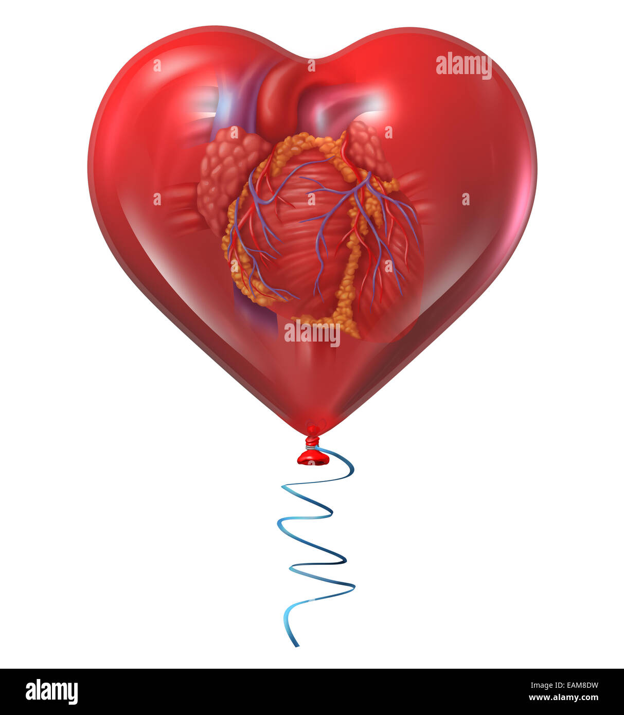 Le concept de la santé de coeur et symbole médical avec un organe anatomique à l'intérieur d'un ballon rouge comme une icône pour risques et circulatoire Banque D'Images