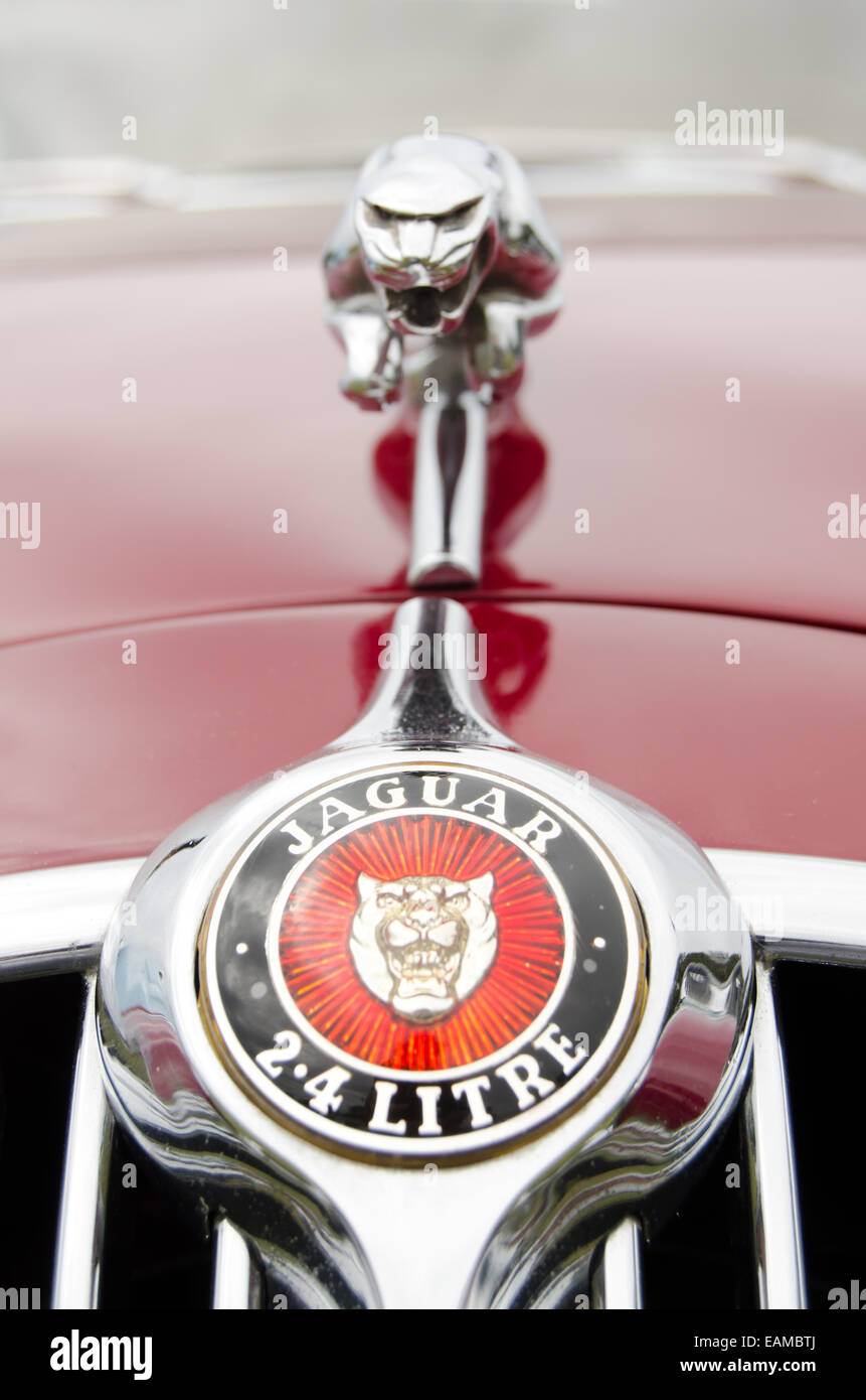 Badge Voiture Jaguar Banque D'Images