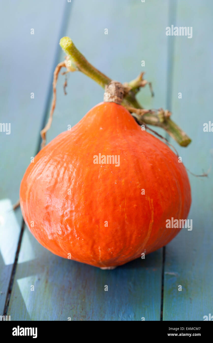 Courge rouge de Kuri Banque D'Images