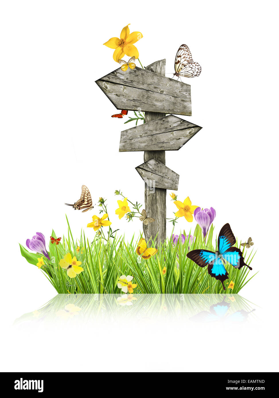 Panneau en prairie avec les papillons, concept de printemps Banque D'Images