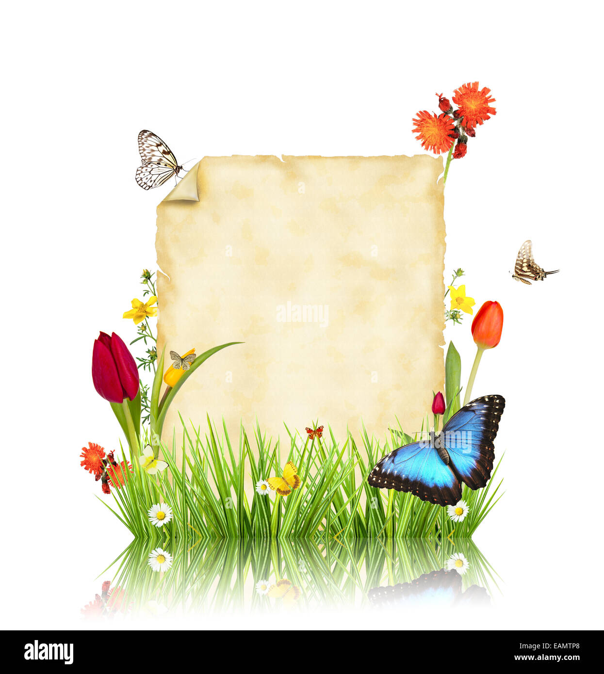 Concept de printemps avec le papier blanc pour le texte. isolé sur fond blanc Banque D'Images