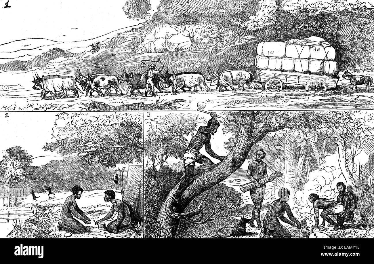 Le chariot bloqué, le camp et de miel, vintage engraved illustration. Journal des voyages, Journal de voyage, (187 Banque D'Images