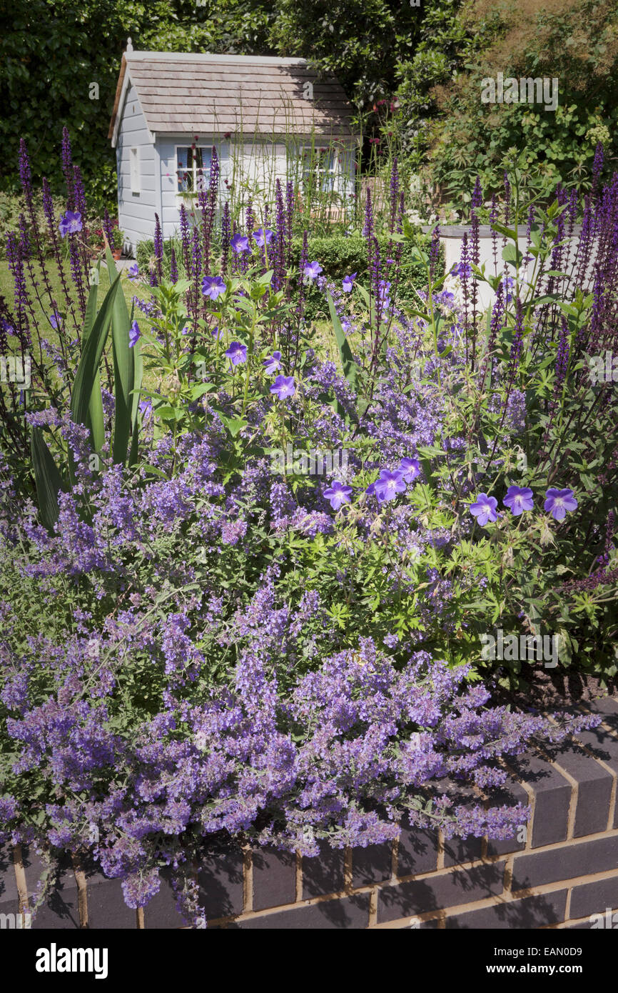 Soulevées bed construit en brique gris violet avec la plantation en jardin, Londres Banque D'Images