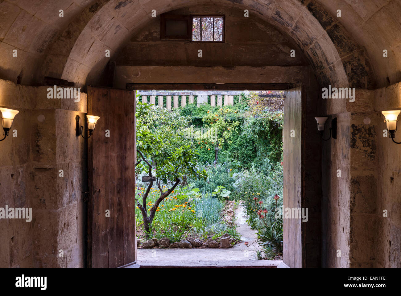 Malte. L'Argotti Botanical Gardens, Floriana, créé en 1805 Banque D'Images