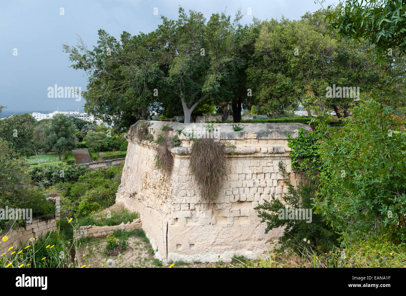 Dans les jardins botaniques Argotti, Floriana, Malte, créé en 1805 Banque D'Images