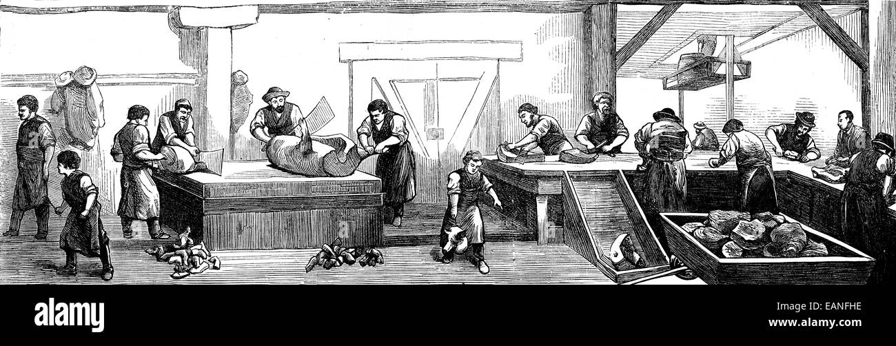 Deli Cincinnati. L'abattage des porcs, vintage engraved illustration. Journal des Voyage, Journal de voyage, (1879-1880). Banque D'Images