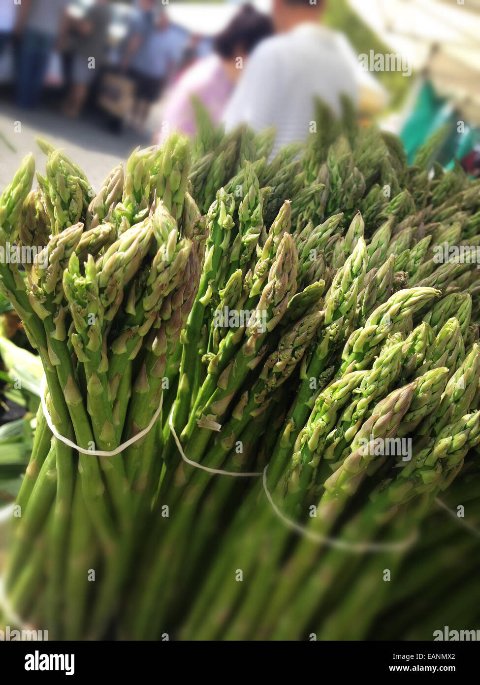 Bouquets d'asperges à un marché de fermiers stand Banque D'Images
