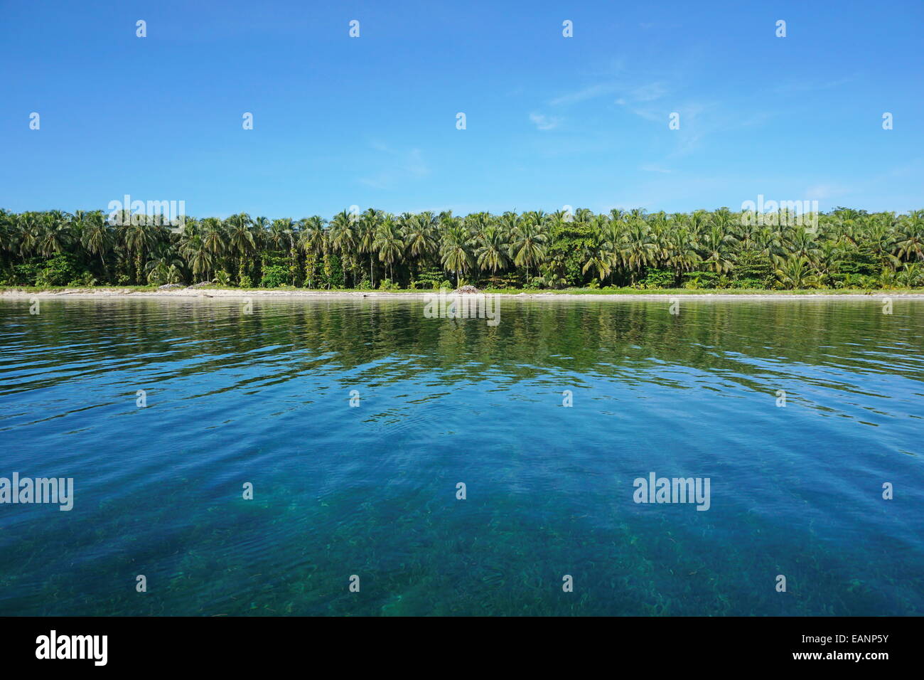 La Côte Tropical horizon avec une végétation luxuriante et une mer calme, Zapatillas islands, Bocas del Toro, Panama, la mer des Caraïbes Banque D'Images