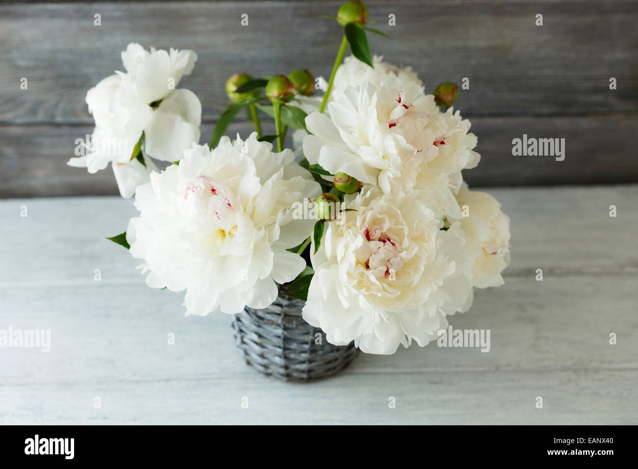 Pivoines blanches dans un vase aux conseils, fond de bois Banque D'Images