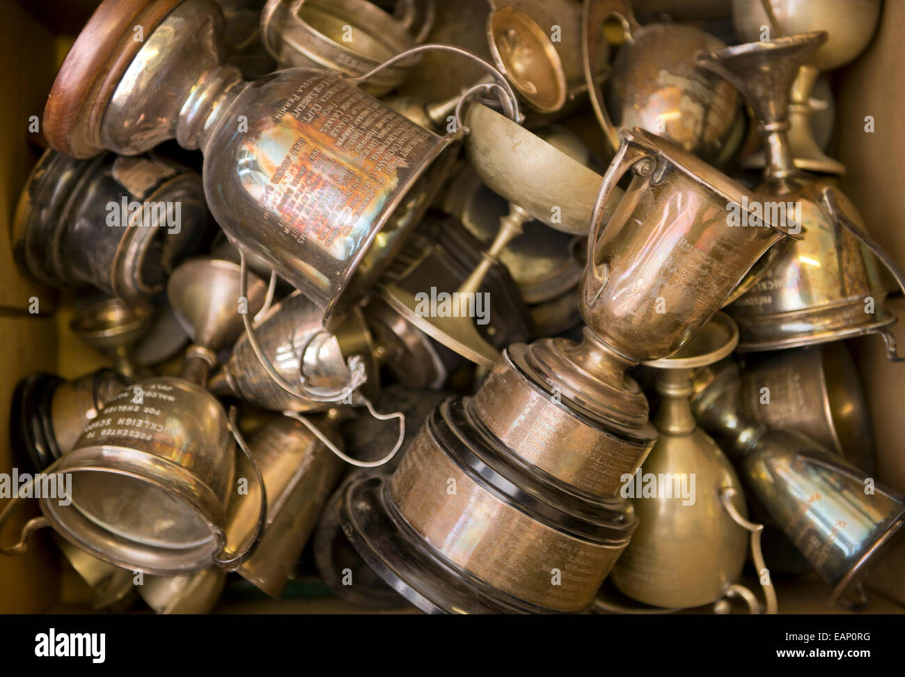 Une boîte en carton pleine de vieille école tasses et trophées UK Banque D'Images