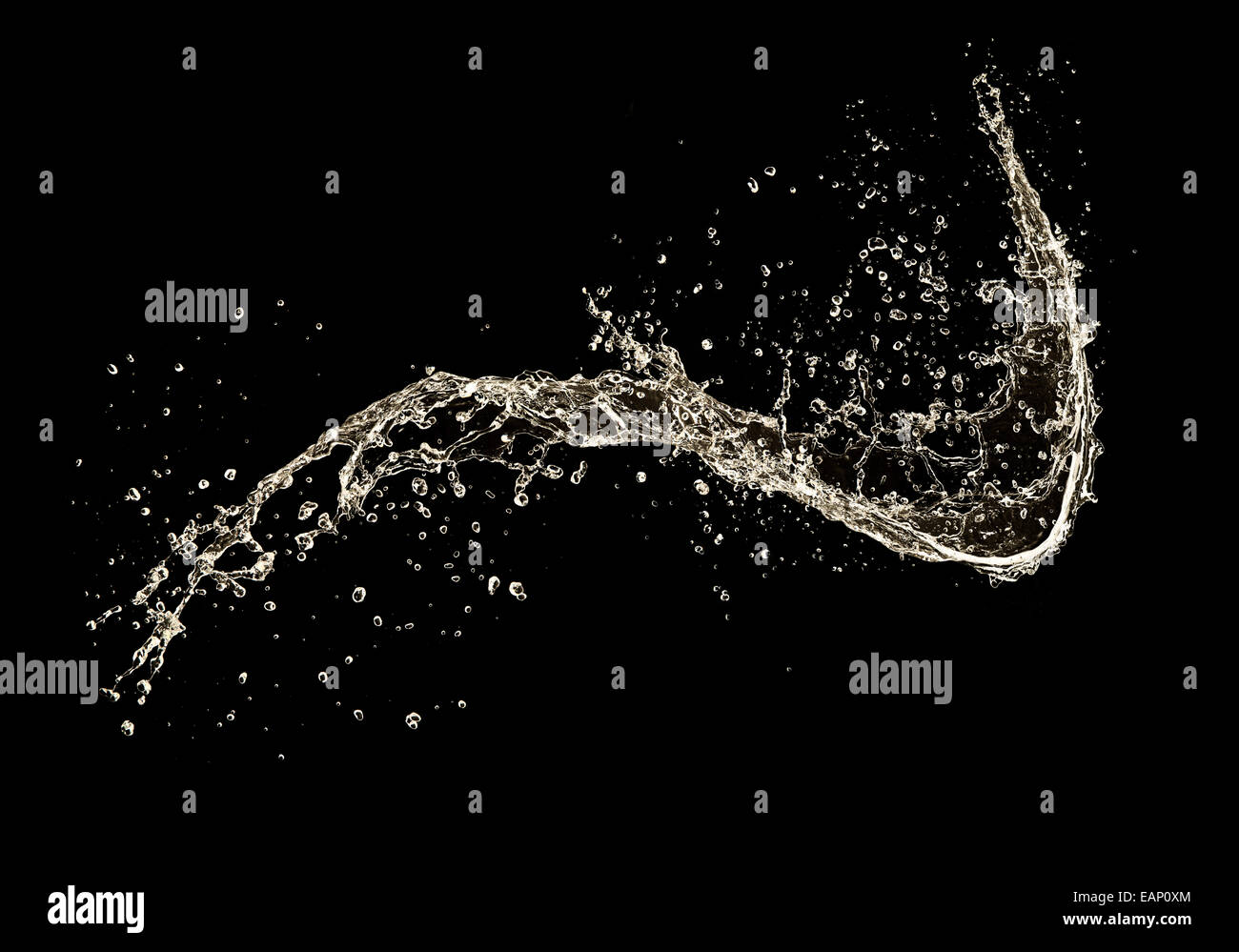 Splash Champagne isolé sur fond noir Banque D'Images