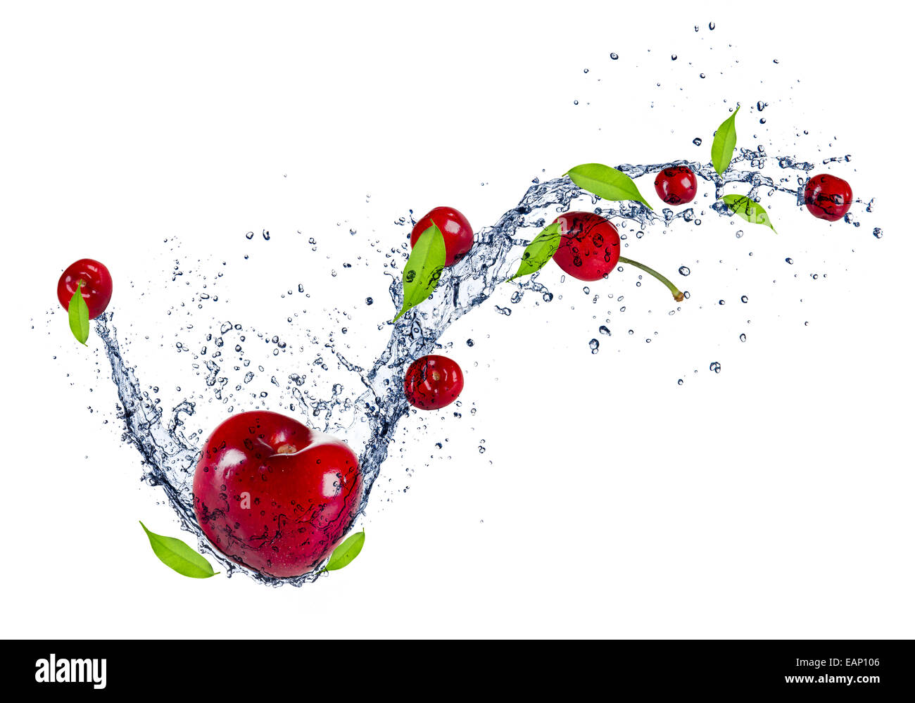 Les cerises dans les éclaboussures d'eau, isolé sur fond blanc Banque D'Images