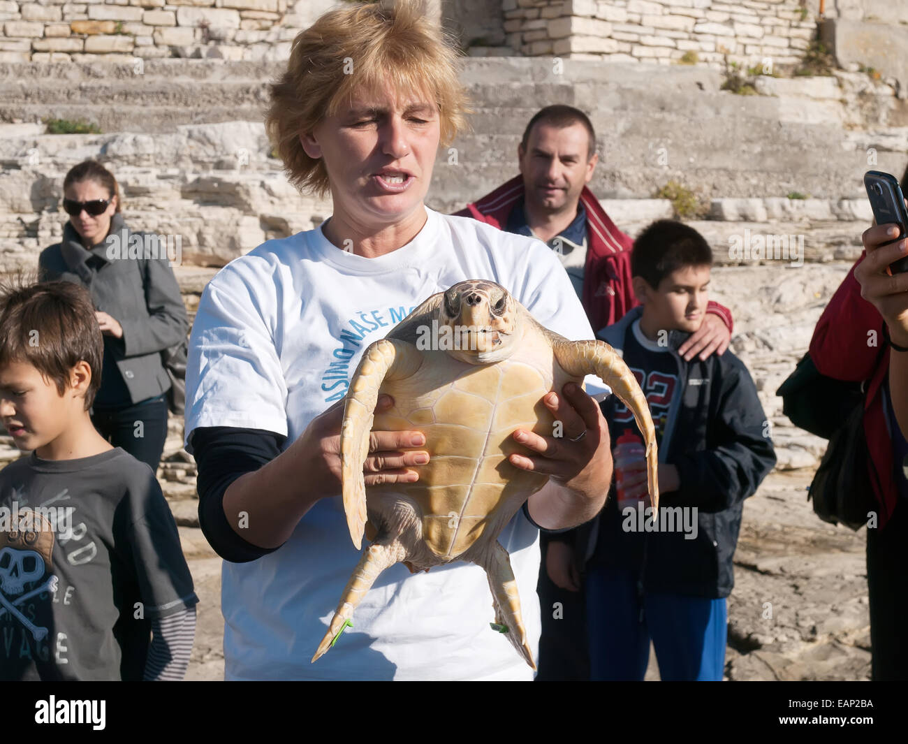 PULA, Croatie - le 14 novembre 2014 : membre non identifié de la Tortue Marine Rescue Centre presse tortue de mer sur la plage de Verudela, Pula Banque D'Images
